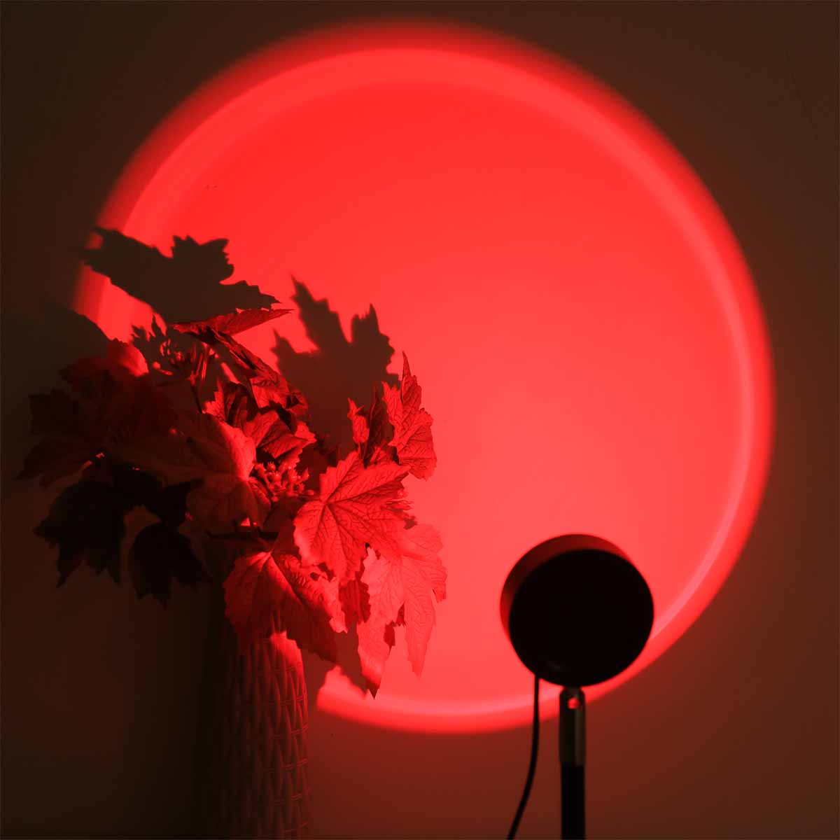 Projektor Zachodu Słońca z Pil – Photography Lighting Wall recenzja i cena