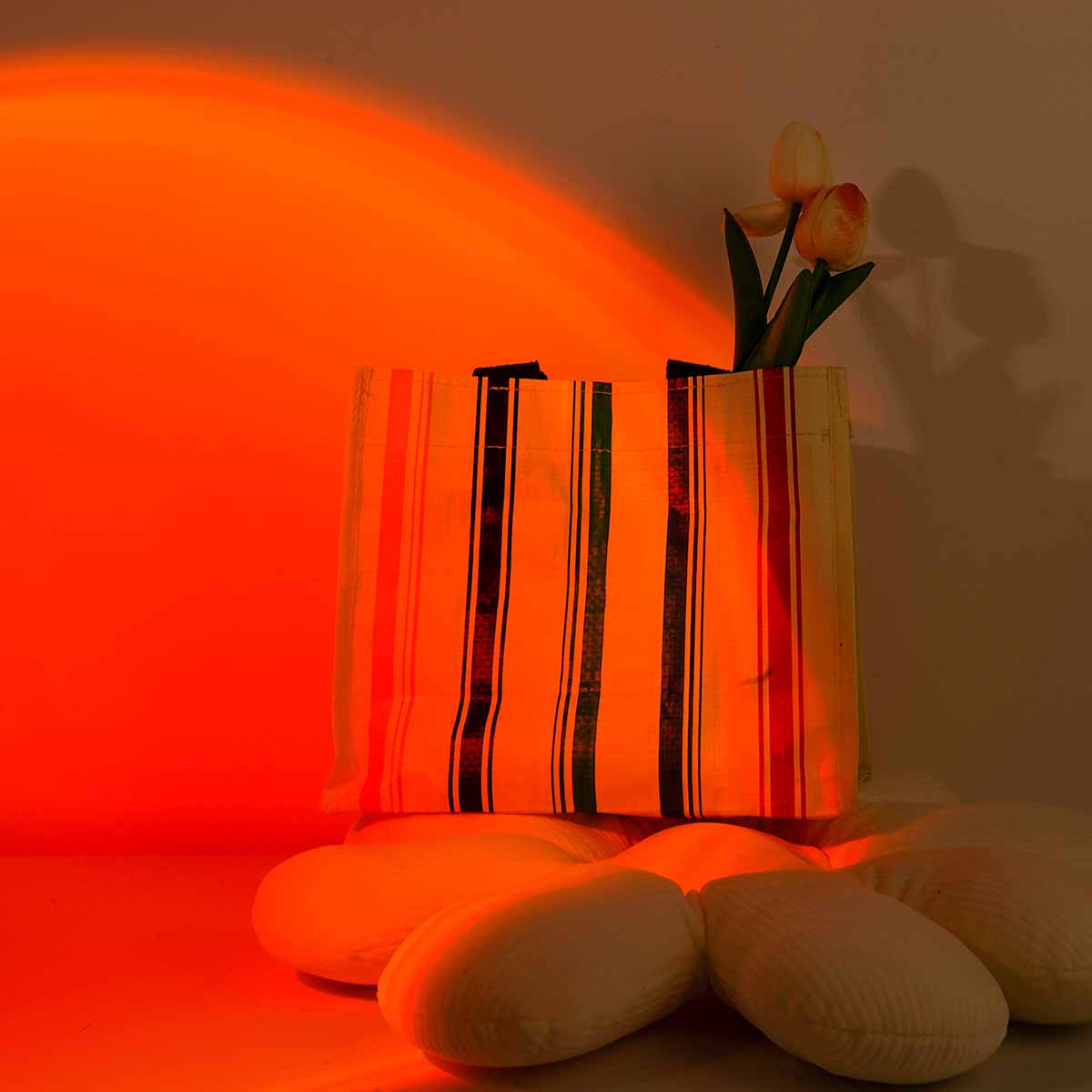 Projektor Zachodu Słońca z Pil – Photography Lighting Wall recenzja i cena